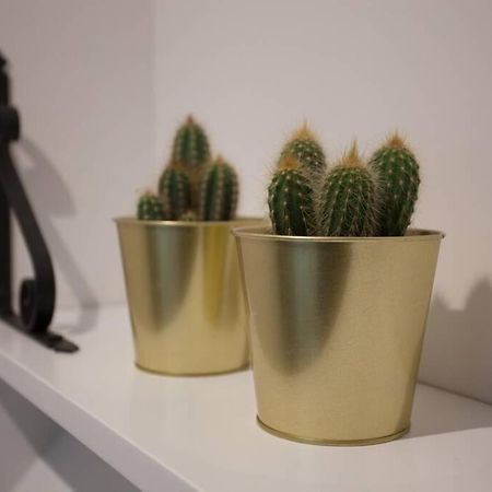 דירות בילבאו Bonito Apartamento, Nuevo Y En El Casco Viejo!!! מראה חיצוני תמונה